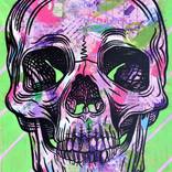 Collection Memento Mori
