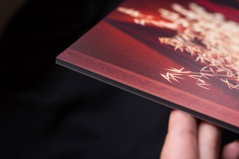 Original Conceptual Body Photography by Lolly Shine