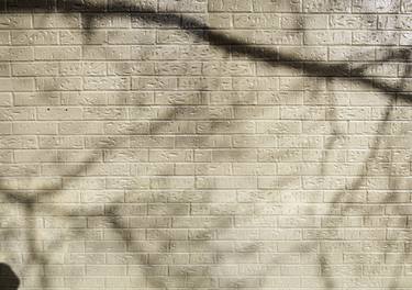 Original Abstract Wall Photography by Charles Jaffe