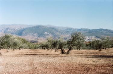 Original Fine Art Landscape Photography by Hugo Hamaoui