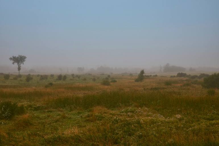 Original Landscape Photography by Hugo Hamaoui | Documentary Art on Paper | Morning Mist - Limited Edition of 3