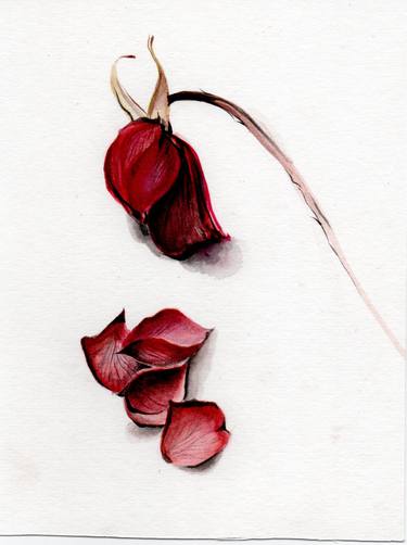 Print of Botanic Paintings by Fatima Mosvy