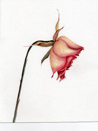 Print of Fine Art Botanic Paintings by Fatima Mosvy