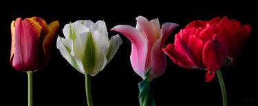 Tulip Summit, Panoramic series - Limited Edition of 1 thumb