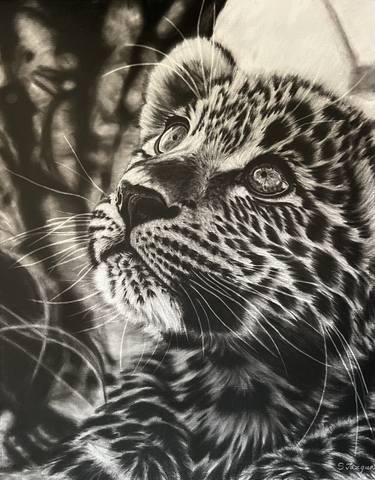 Original Black & White Animal Drawings by Szilvia Vazquez