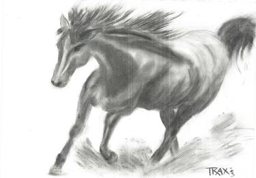Original Contemporary Horse Drawings by Diana Dimova-TRAXI