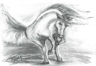 Print of Contemporary Horse Drawings by Diana Dimova-TRAXI