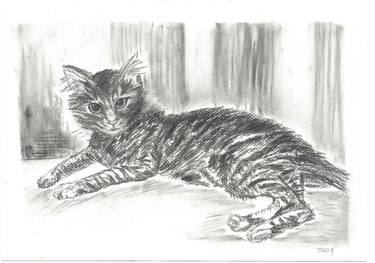 Elegant black and white drawing of a cat thumb