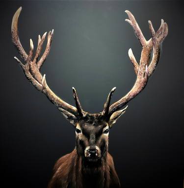 Original Photorealism Animal Paintings by Mariia Baskal