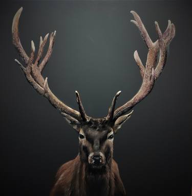 "Mr. Wild Deer" thumb