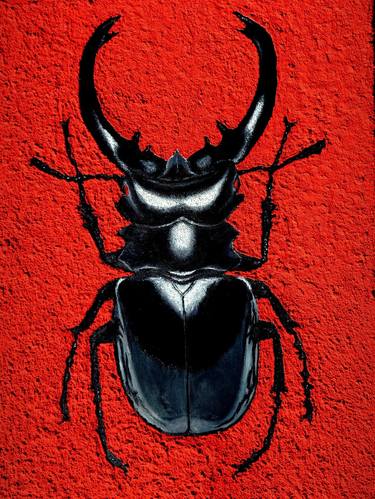 Mr. Black Beetle thumb
