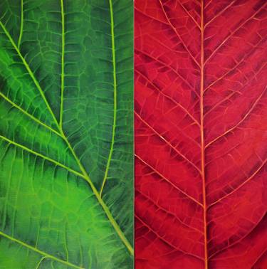 BOTANIC DIPTYCH "RED AND GREEN" thumb