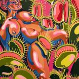Venus Flytrap by Jillian Elliott