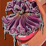 Choking Iris by Jillian Elliott