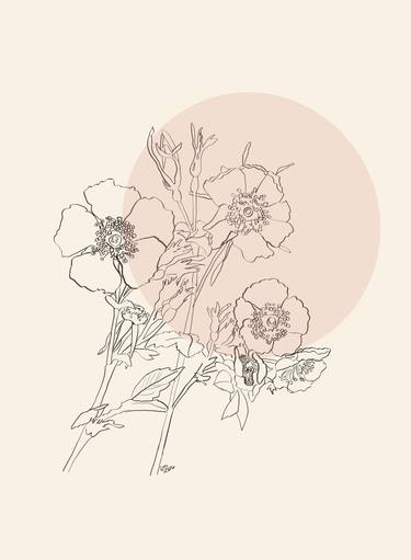 Original Fine Art Floral Drawings by Emily Warren