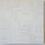 Patternized Behaviours No. 23 by Justin N Kim