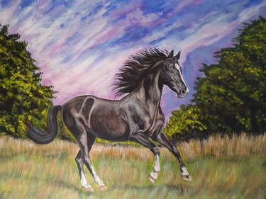 Original Horse Paintings by Andrea Napolitano