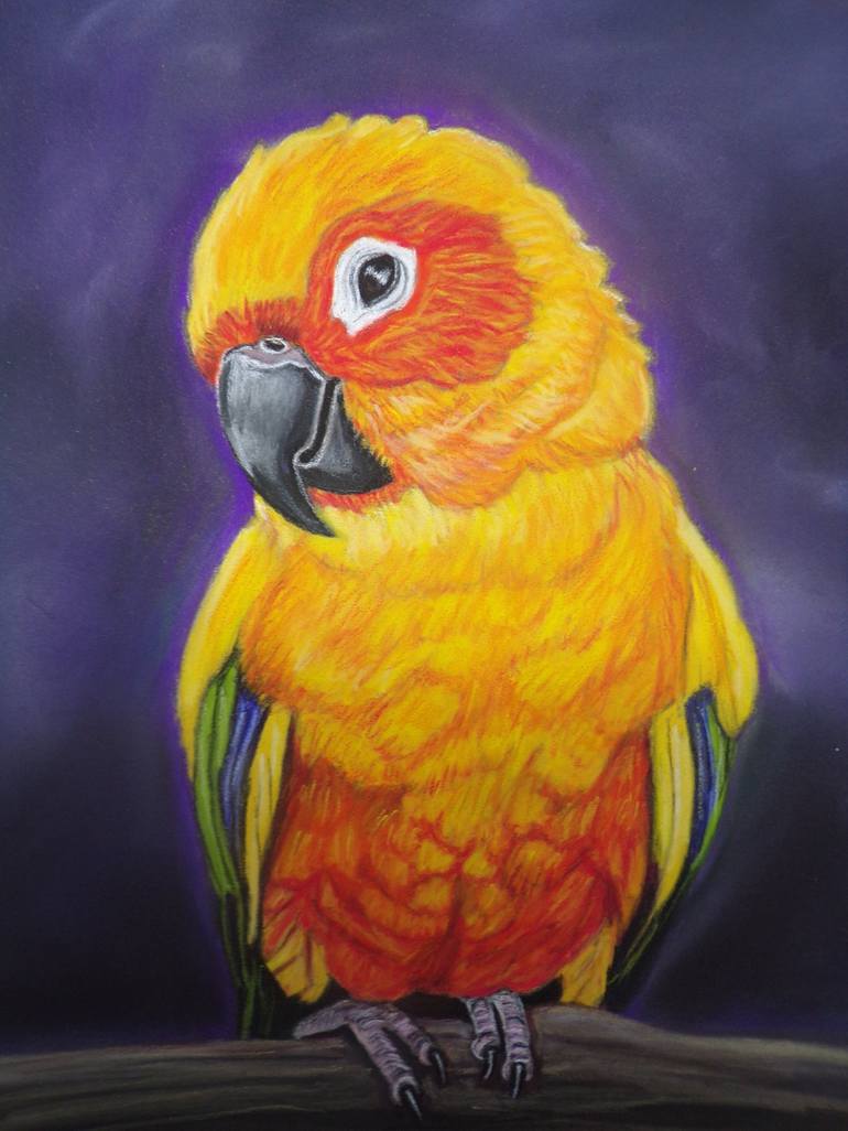 conure painting