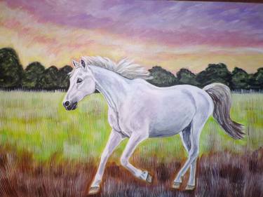 White horse at dusk thumb