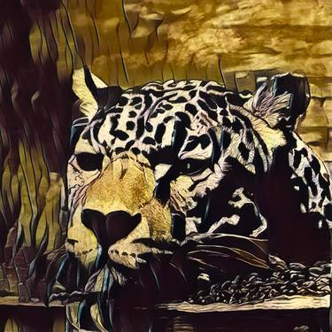 Panthera Onca Evening Swim - Retro thumb