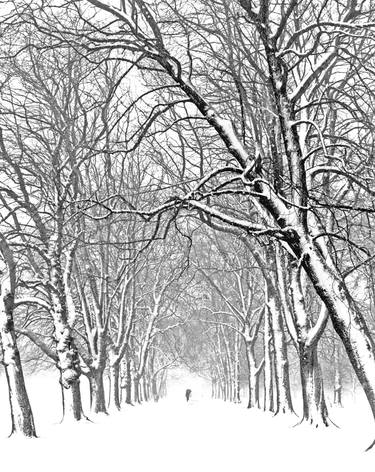 Umbrella Lady in the Snow thumb