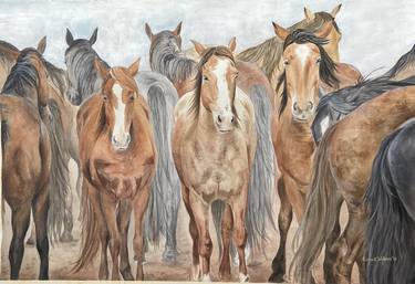 Original Fine Art Animal Paintings by Emma Wickens