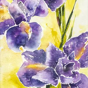 Collection Watercolour flowers