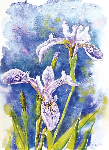 Iris flowers in watercolour thumb