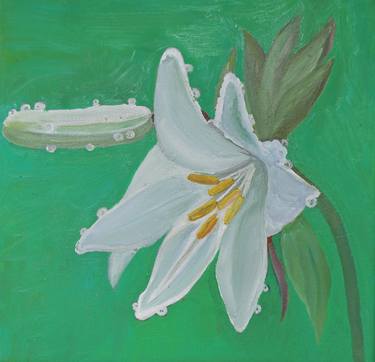 White Lilies with bud thumb