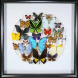 Collection The Other Art Fair Dallas 2025 Exhibitors