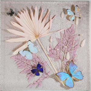 Butterfly Composition