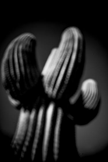 Can I, Cacti thumb