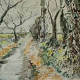 Collection Watercolor