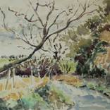 Collection Watercolor
