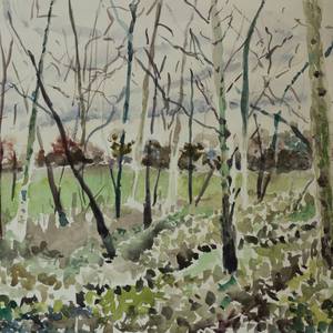 Collection Watercolor