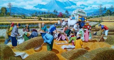 Rice Harvest thumb