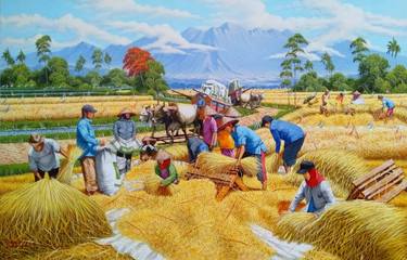 Rice Harvest thumb
