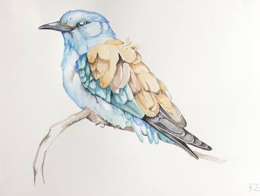 Blue bird with yellow plumage thumb