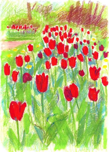 Red tulip flower bed sketch thumb