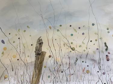 Original Nature Paintings by Lyn Graham