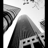 Dizzled by Sun #5 - Limited Edition of 100 Photograph - Limited Edition of 1 - Limited Edition of 1 by Rozita Fogelman