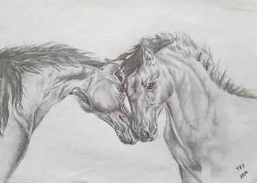 Print of Realism Horse Drawings by Tea Shubladze