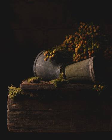 Print of Still Life Photography by Mike Makarenko