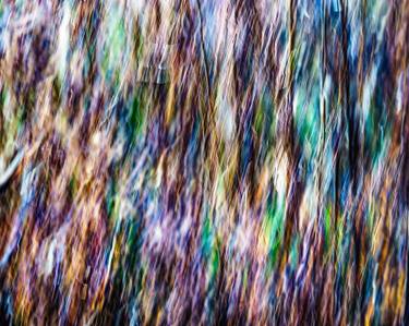 Original Fine Art Abstract Photography by Paul Foley