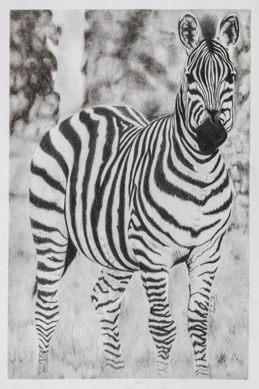 Original Realism Animal Drawings by ANDISWA BAHANA MATOBO