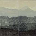 Through the rainforest (diptych) by Jessi Wong