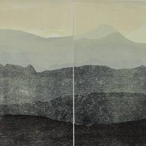 Through the rainforest (diptych)