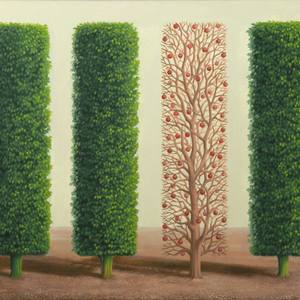 Area 03 -Trees