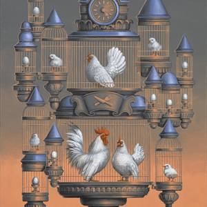 Animalia 19 -Gallus