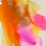 Collection Texas is the Obsession